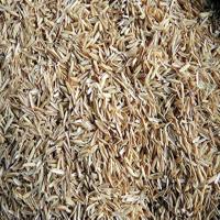 Natural Rice Husk