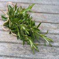 Natural Rosemary Herb