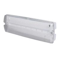 Non Maintained Lights