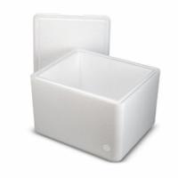 Normal Thermocol Box