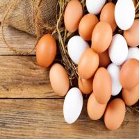Nutritious Brown Poultry Egg
