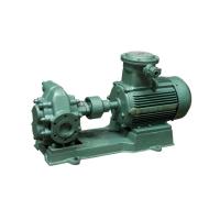 Oil Transfer Pump