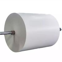 Oji Plain Thermal Paper Jumbo Rolls, Fine finish