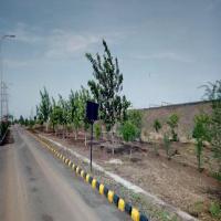 OPC Zuari Cement Image