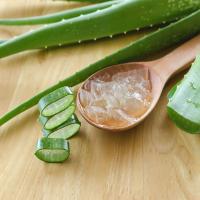 Organic Aloe Vera Leaf
