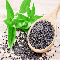 Organic Basil Seeds