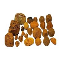 Organic Cattle Gallstones
