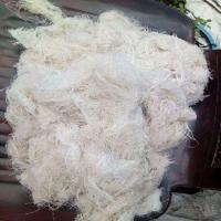 Organic Cotton Waste