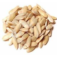 Organic Cucumber Seeds