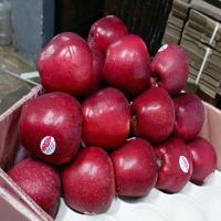 Organic Delicious Apple