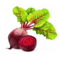 Organic Fresh Beetroot