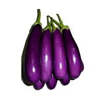 Organic Fresh Brinjals