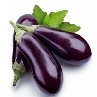 Organic Fresh Brinjals