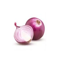 Organic Fresh Onion