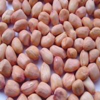 Organic Groundnut Kernels