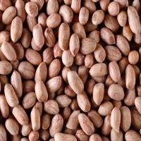 Organic Groundnut Kernels