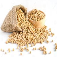 Organic Soyabean Meal