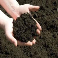 Organic Vermi Compost Image