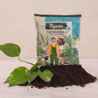 Organic Vermi Compost