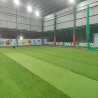 Outdoor Grass Turf Cricket Pitch, Light green clour