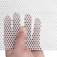 Outdoor SS Perforated Sheet, Large round holes Image