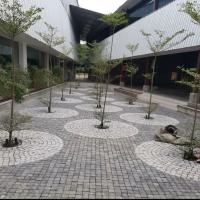 Outdoors Cobbles Multicolor