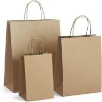 Paper Craft Bags