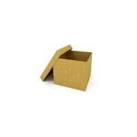 Paper Mono Carton Box