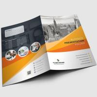 Paper Printed Brochures