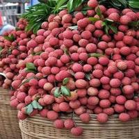 Pink Fresh Litchi