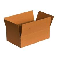 Plain Cardboard Food Packaging Box, Unbranded single