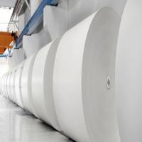 Plain Jumbo Roll, Smooth and Uncoated surface