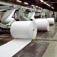 Plain Jumbo Thermal Paper Roll, Eco-Friendly