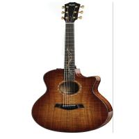 Plastic Acoustic Guitar