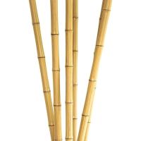 Plastic Bamboo Sticks, Good looking, crafted, heavy duty