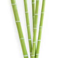 Plastic Bamboo Sticks, Good looking, crafted, heavy duty