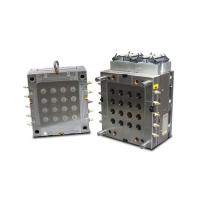 Plastic Moulding Die