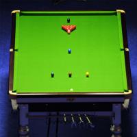 Playing Snooker Table