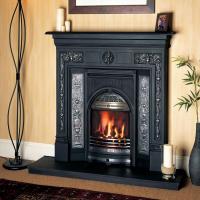 Polished Fire place Image