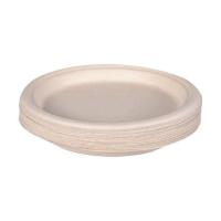 Polished Paper Plates