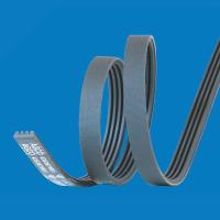 Poly V Belt