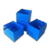 Polypropylene Corrugated Box