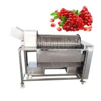 Pomegranate Peeling Machine