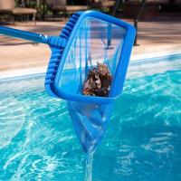 Pool Deep Leaf Rake