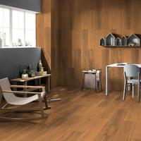 Porcelain Floor Tiles