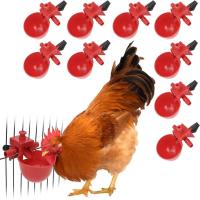 Poultry Chicken Drinker