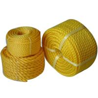 PP Danline Rope