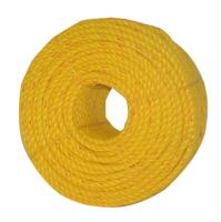 Pp Ropes Yellow