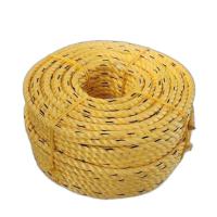 Pp Yellow Danline Rope Image