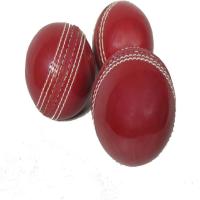 Practice Cricket Balls